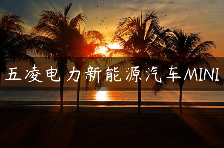 五凌电力新能源汽车MINI
