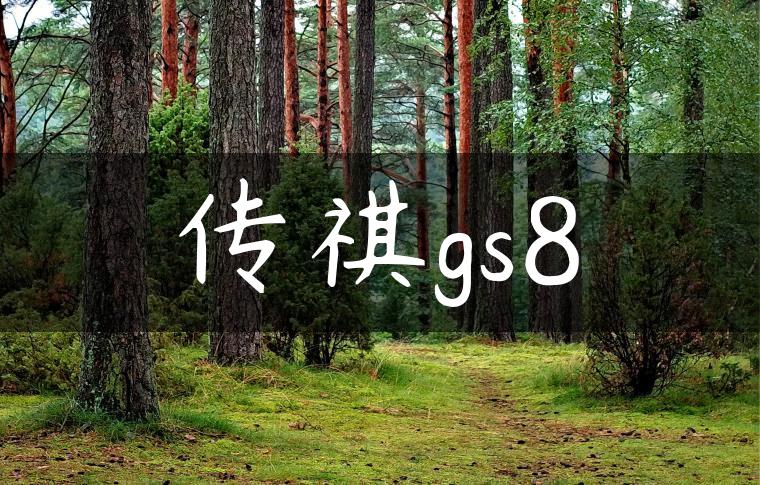 传祺gs8