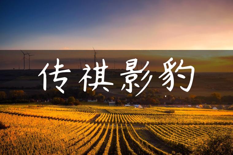 传祺影豹