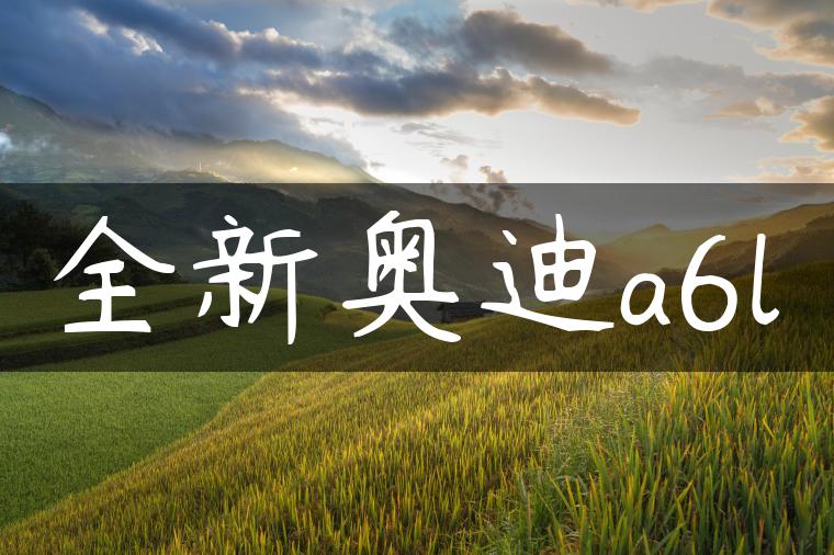 全新奥迪a6l