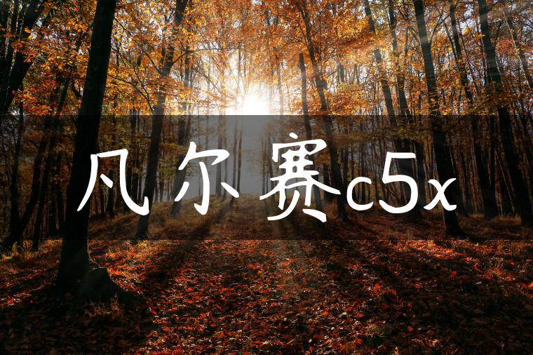 凡尔赛c5x
