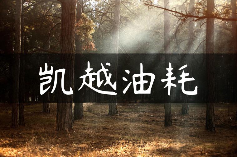 凯越油耗