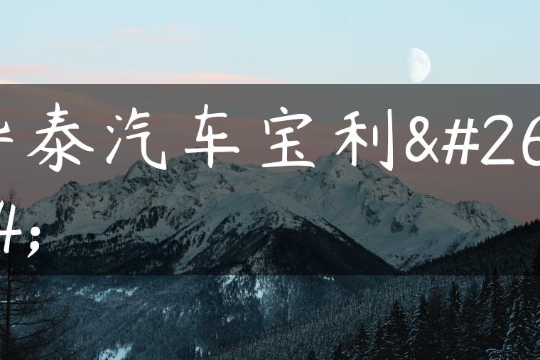 华泰汽车宝利格-金牌车友