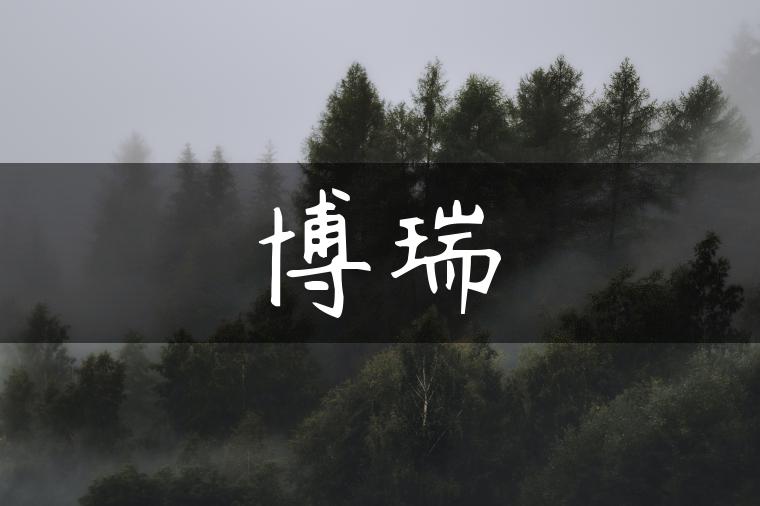 博瑞