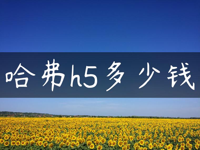 哈弗h5多少钱-金牌车友