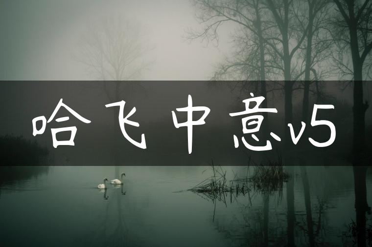 哈飞中意v5