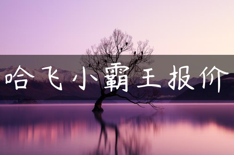 哈飞小霸王报价