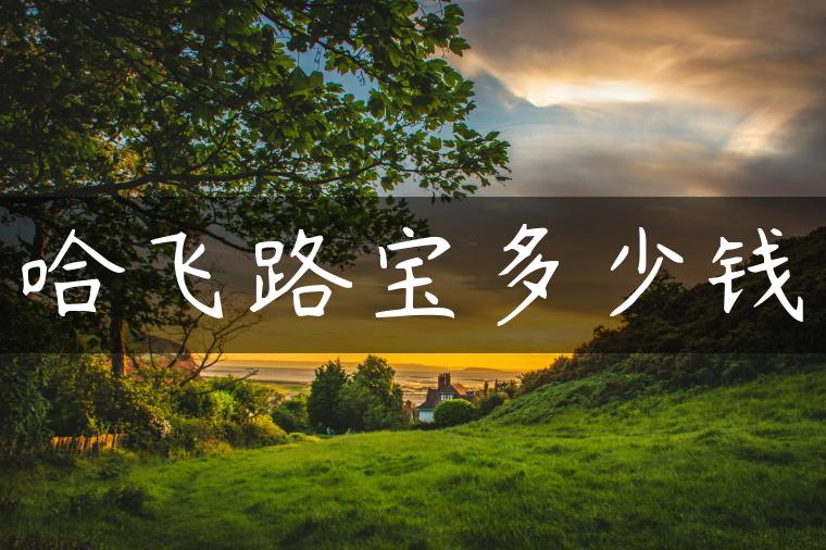 哈飞路宝多少钱