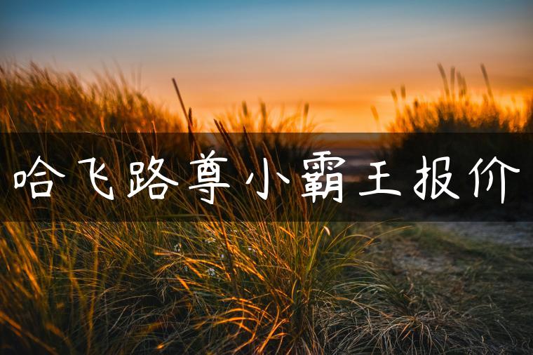 哈飞路尊小霸王报价