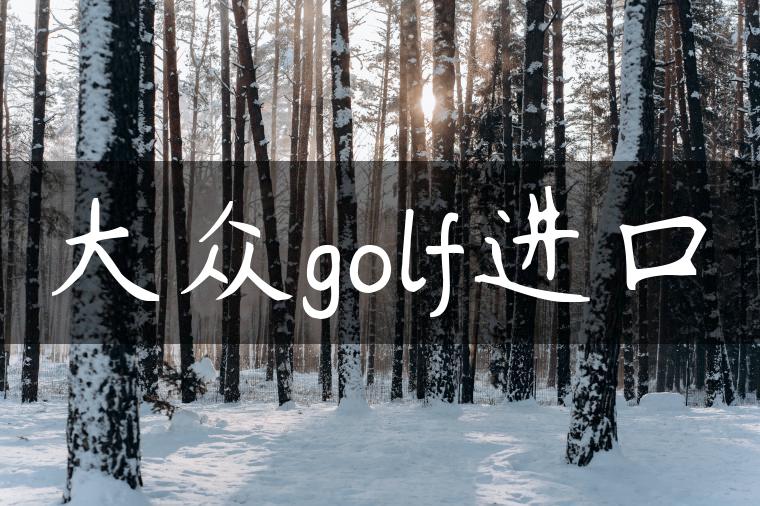 大众golf进口