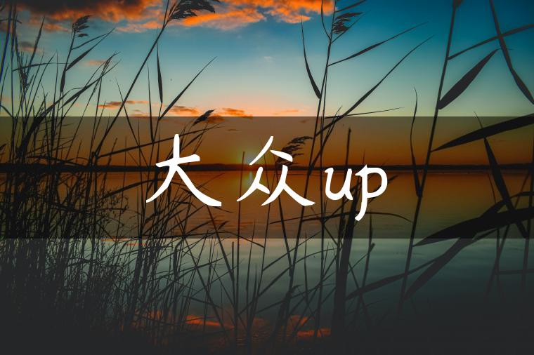 大众up