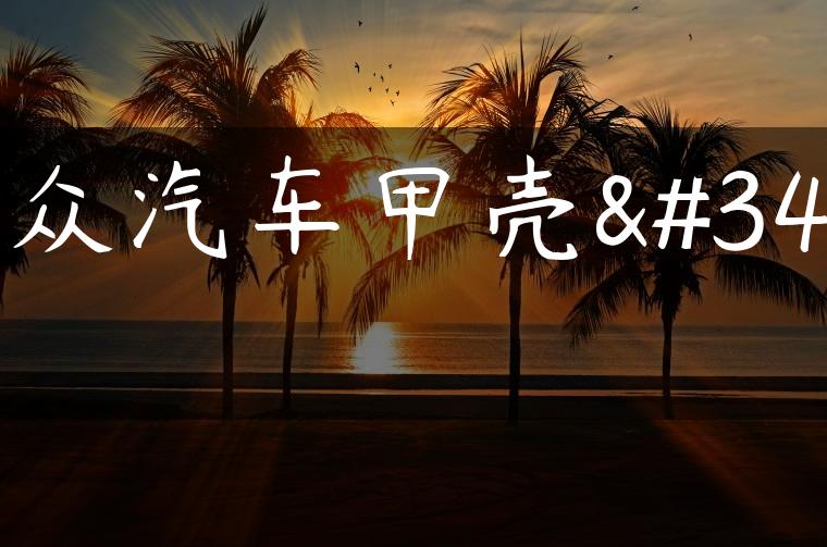 大众汽车甲壳虫