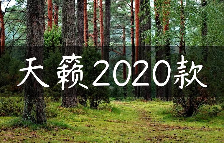 天籁2020款