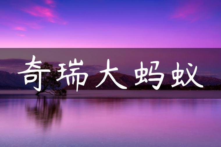 奇瑞大蚂蚁