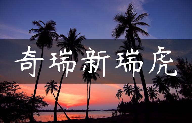 奇瑞新瑞虎
