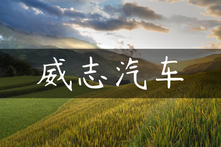 威志汽车