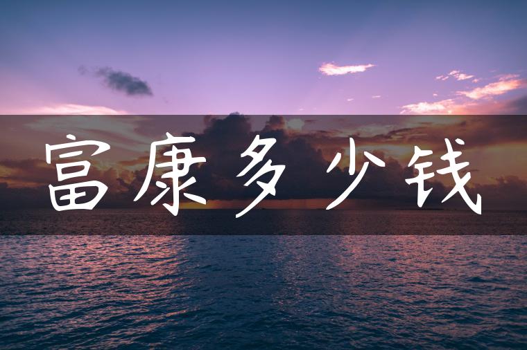 富康多少钱