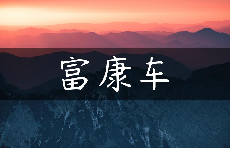 富康车
