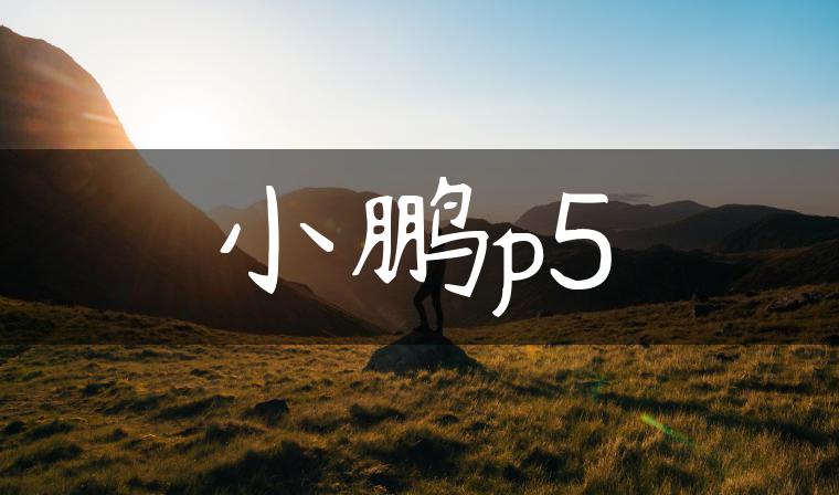 小鹏p5