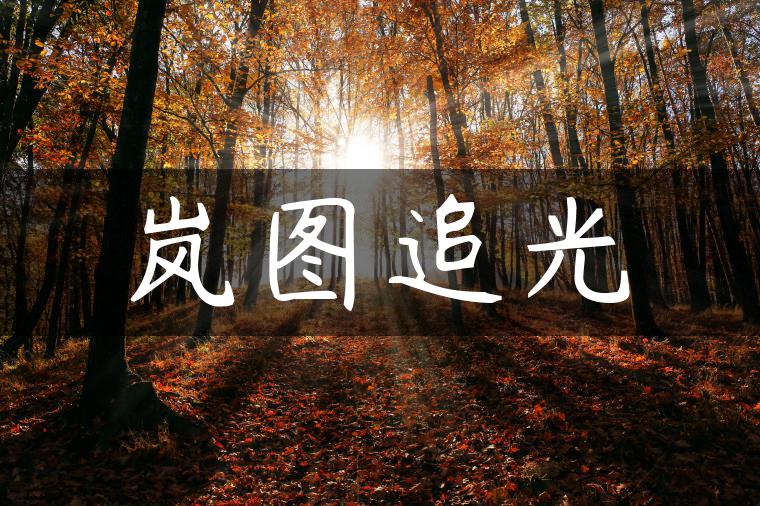 岚图追光