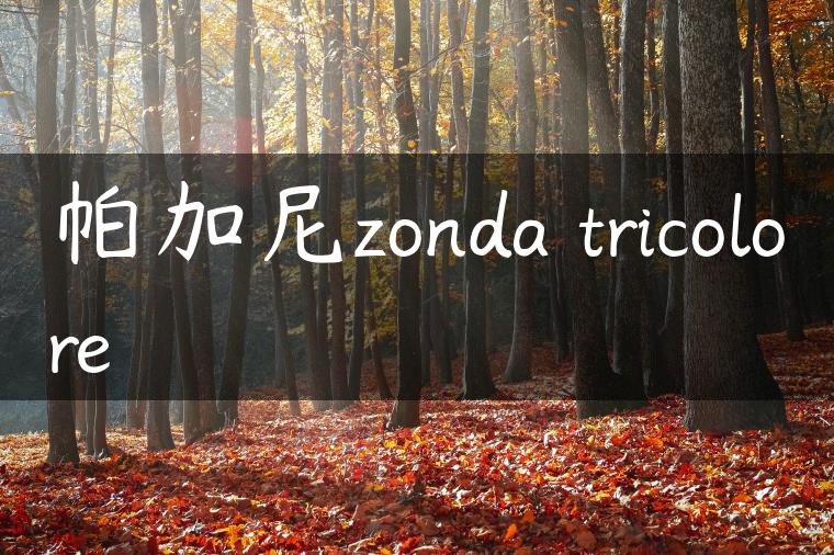 帕加尼zonda tricolore