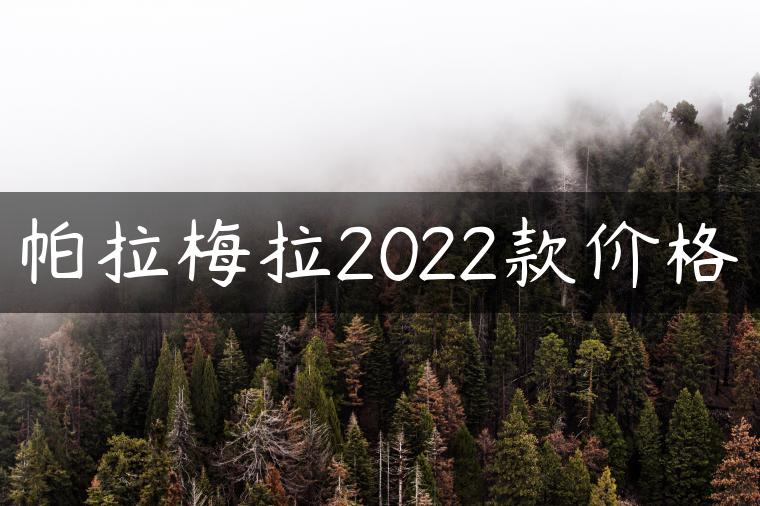帕拉梅拉2022款价格