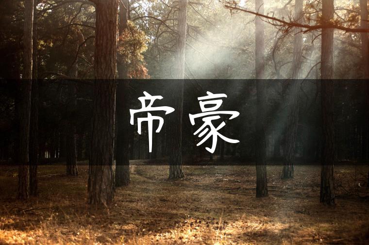 帝豪