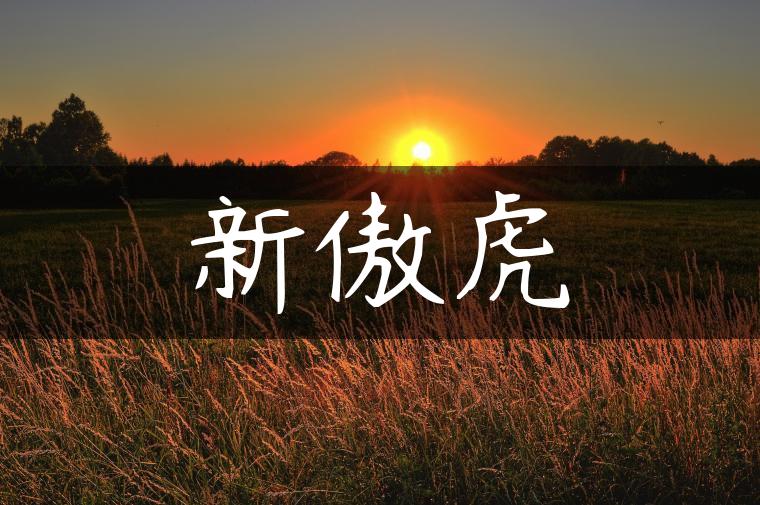 新傲虎