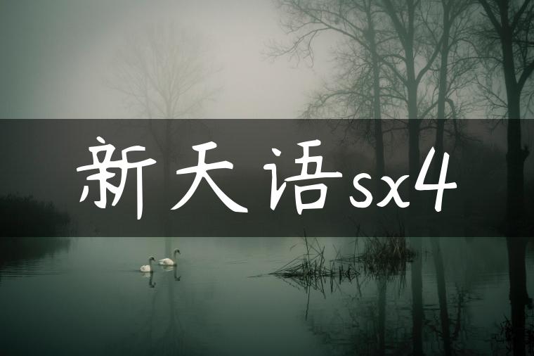 新天语sx4-金牌车友