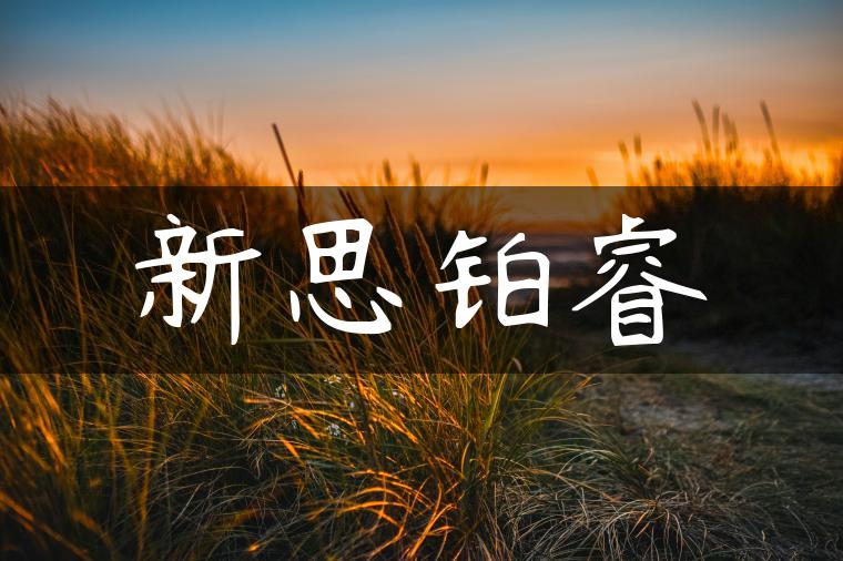 新思铂睿