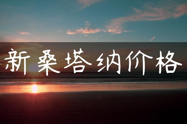 新桑塔纳价格