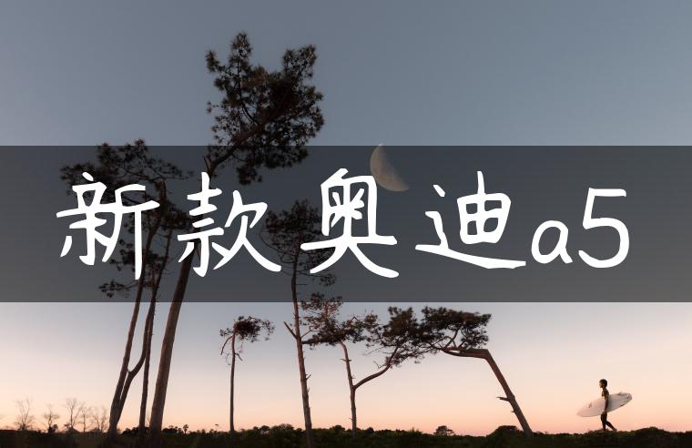 新款奥迪a5