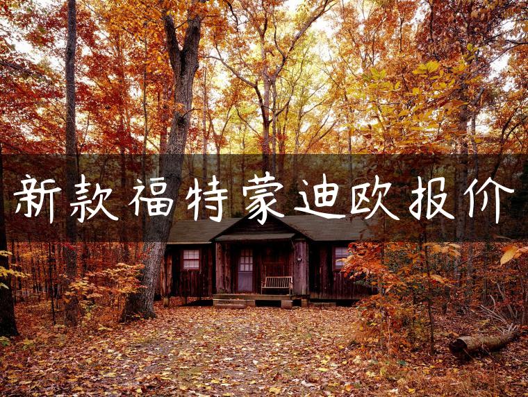 新款福特蒙迪欧报价-金牌车友