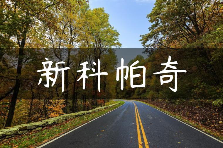 新科帕奇