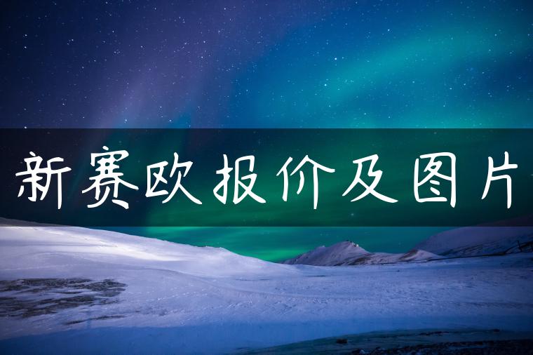新赛欧报价及图片