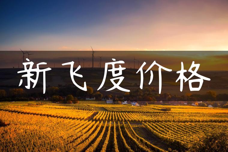 新飞度价格-金牌车友