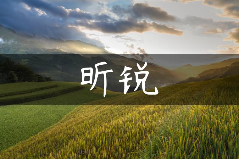 昕锐