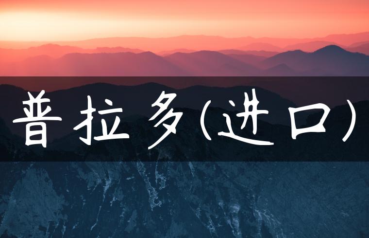 普拉多(进口)