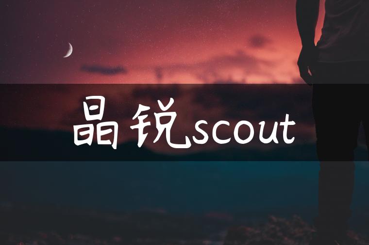 晶锐scout