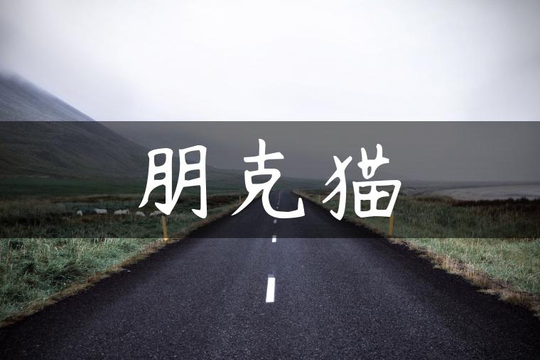 朋克猫