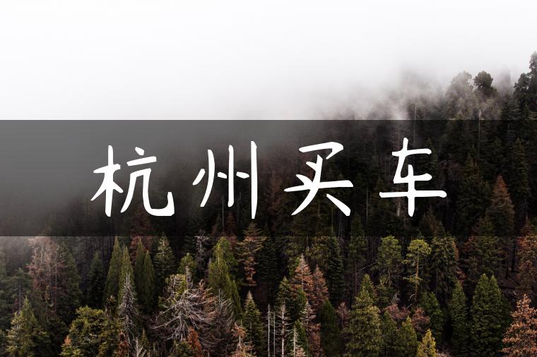 杭州买车