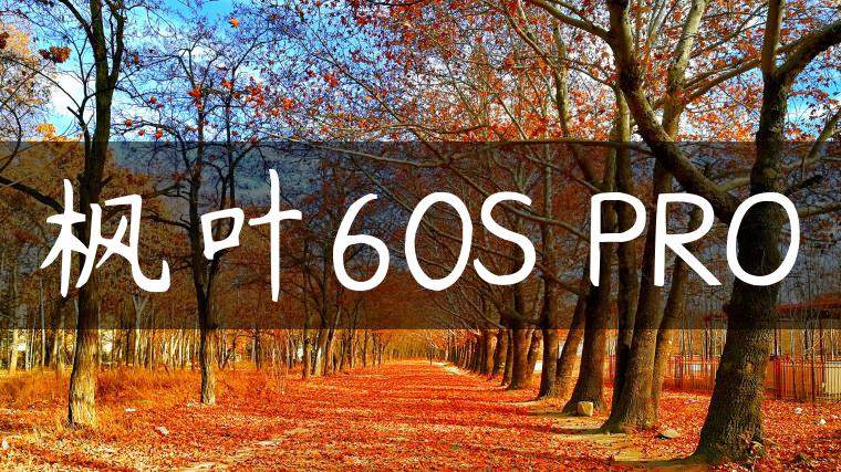 枫叶60S PRO