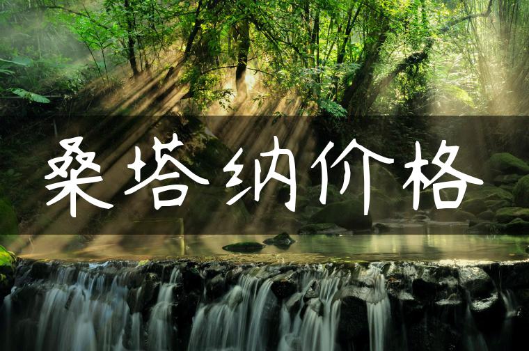 桑塔纳价格