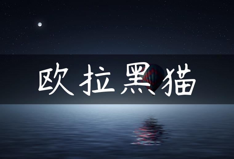 欧拉黑猫