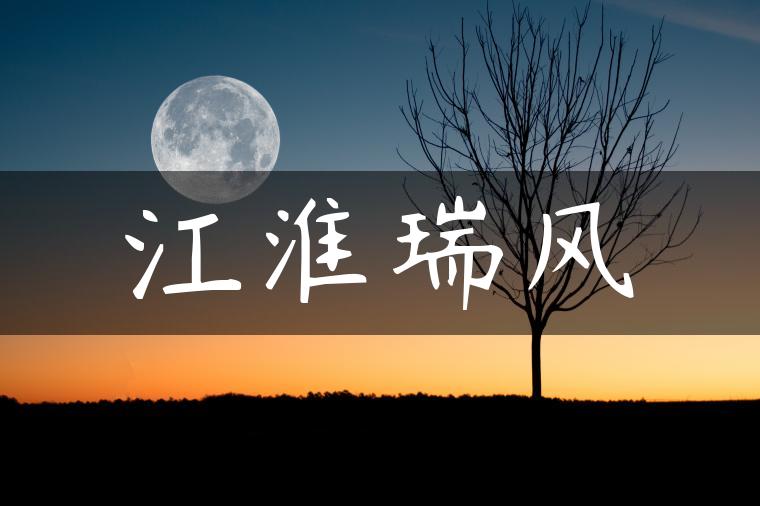 江淮瑞风