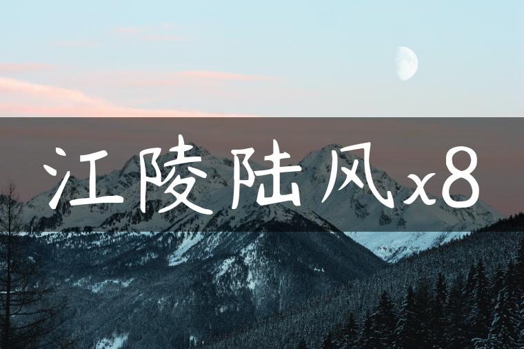 江陵陆风x8