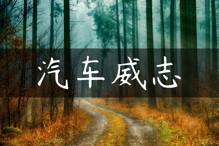 汽车威志