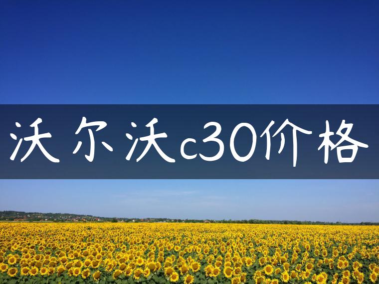 沃尔沃c30价格-金牌车友