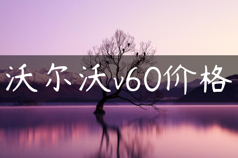 沃尔沃v60价格