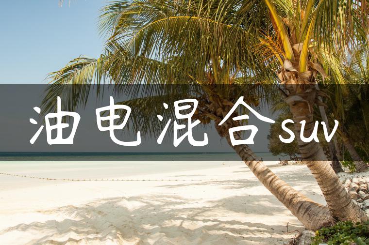 油电混合suv